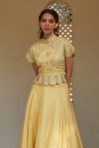 Closer front view of the taupe lemon rasm optical embroidered top and skirt by Osaa by Adarsh at Mrs. G