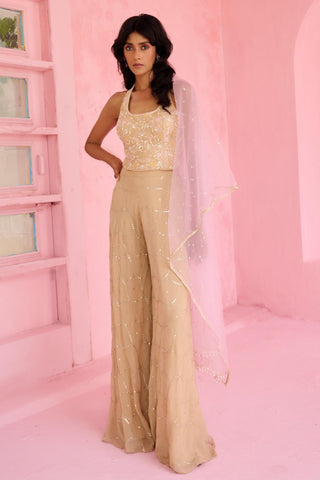 Flared Pant Set Traditional Wear - Beige Riz Pant Set by Chamee & Palak