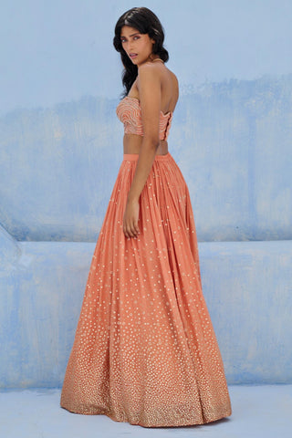 Lehenga Indian Wedding - Peach Melisa Lehenga by Chamee & Palak