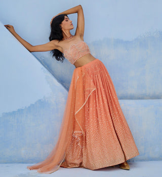 Lehenga Indian Wedding - Peach Melisa Lehenga by Chamee & Palak