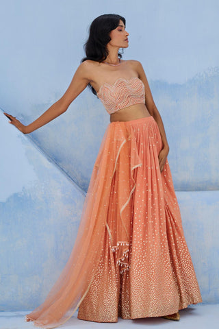 Lehenga Indian Wedding - Peach Melisa Lehenga by Chamee & Palak