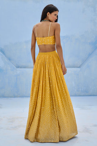 Lehenga Indian Wedding - Yellow Zohra Lehenga by Chamee & Palak
