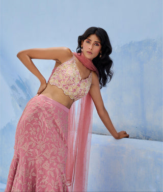 Lehenga Indian Wedding - Pink Fiza Lehenga by Chamee & Palak