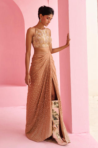 Slit Skirt Set Traditional Wear - Brown Noor Skirt by Chamee & Palak