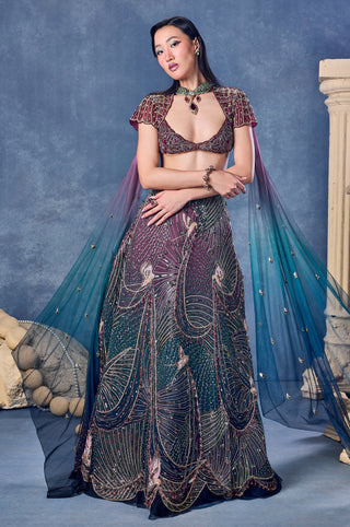Front view of the ombre tulle lehenga with a sheer dupatta flowing at the sides at Mrs. G
