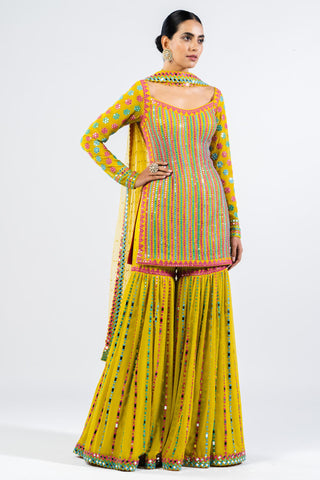 Sharara Set for Indian Wedding – Moss Green Multicolor by Vvani By Vani Vats