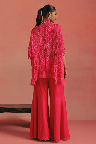 Back view of the shirt with bandhani dots and a short sleeve, bubblegum pink ziya mirrorwork co-ord set by Twenty Nine at Mrs. G
