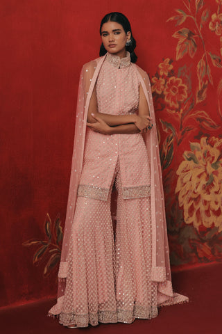 Full-length front view with the net dupatta draped over both arms, pink lemonade ziya mirrorwork sharara set by Twenty Nine at Mrs. G