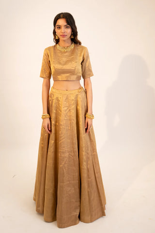 Beige zari tissue gold lehenga & blouse paired with yellow dupatta