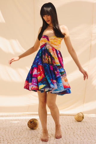 Multicolor starlit twirl art zip dress